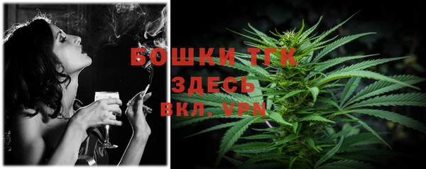 тгк Няндома