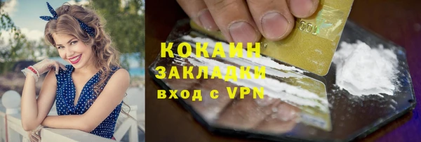тгк Няндома