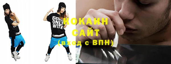 тгк Няндома