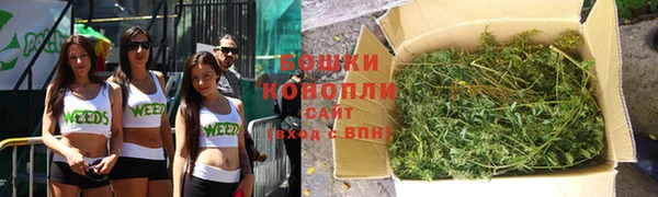 тгк Няндома