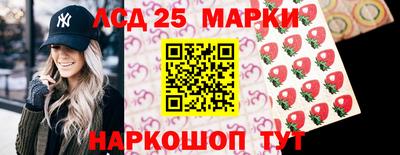 мяу мяу мука Аргун
