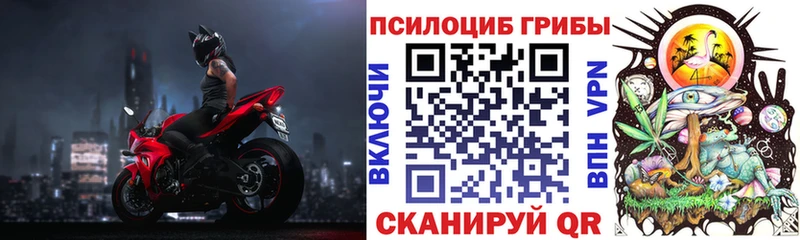 блэк спрут   Кингисепп  Псилоцибиновые грибы ЛСД 