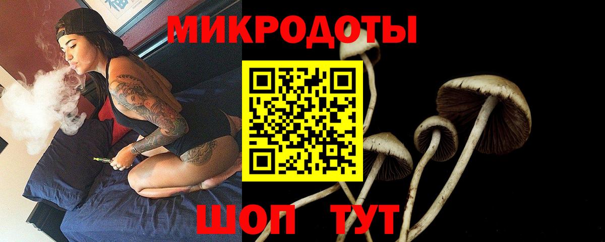 Кингисепп  Галлюциногенные грибы Cubensis  Вход с VPN 