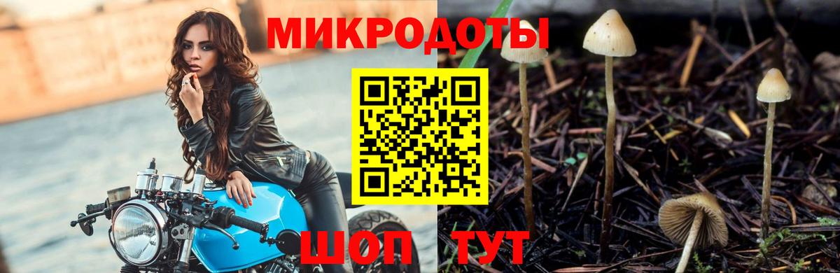 Псилоцибиновые грибы MAGIC MUSHROOMS Кингисепп